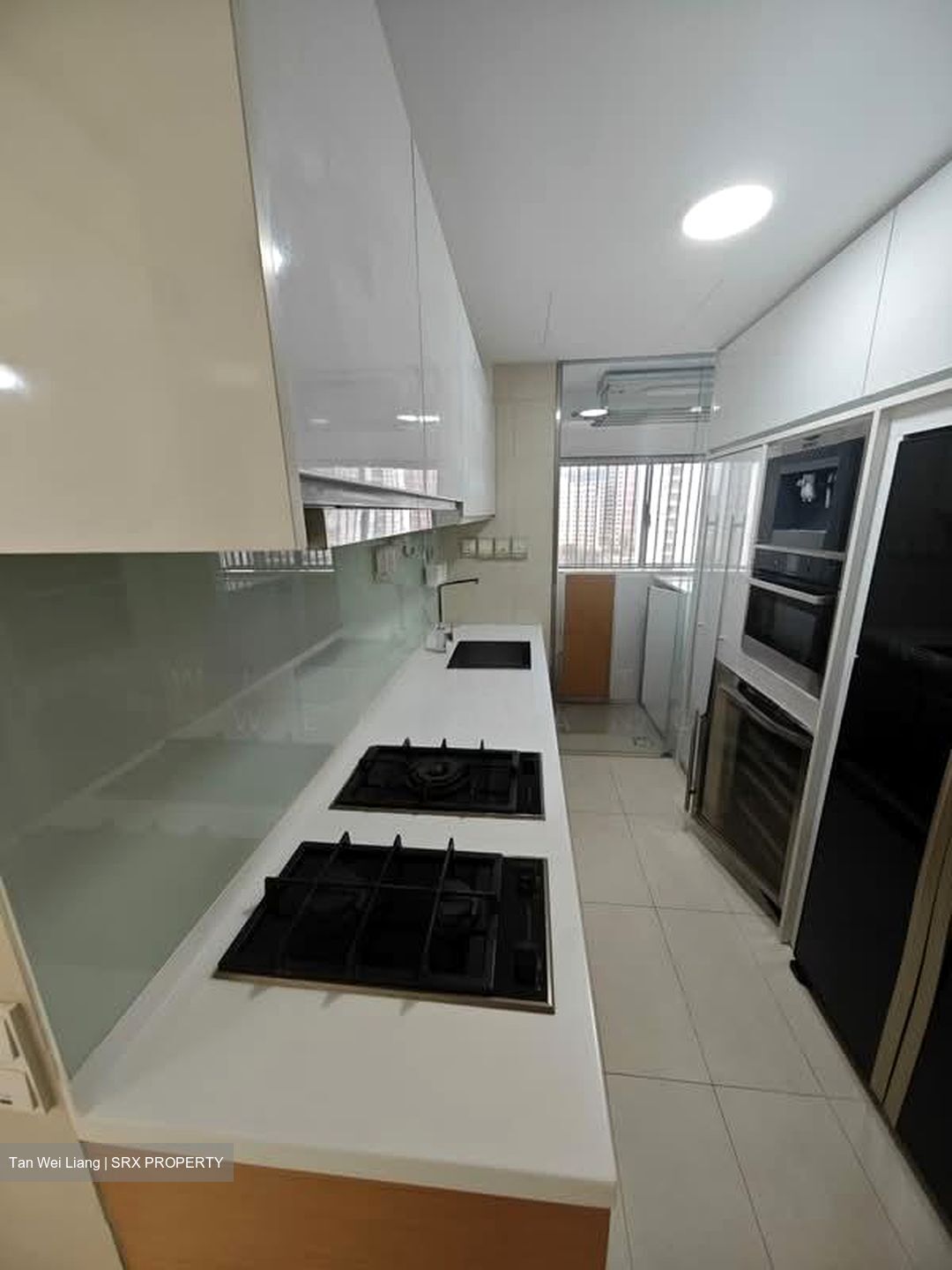 SilverSea (D15), Condominium #562086281